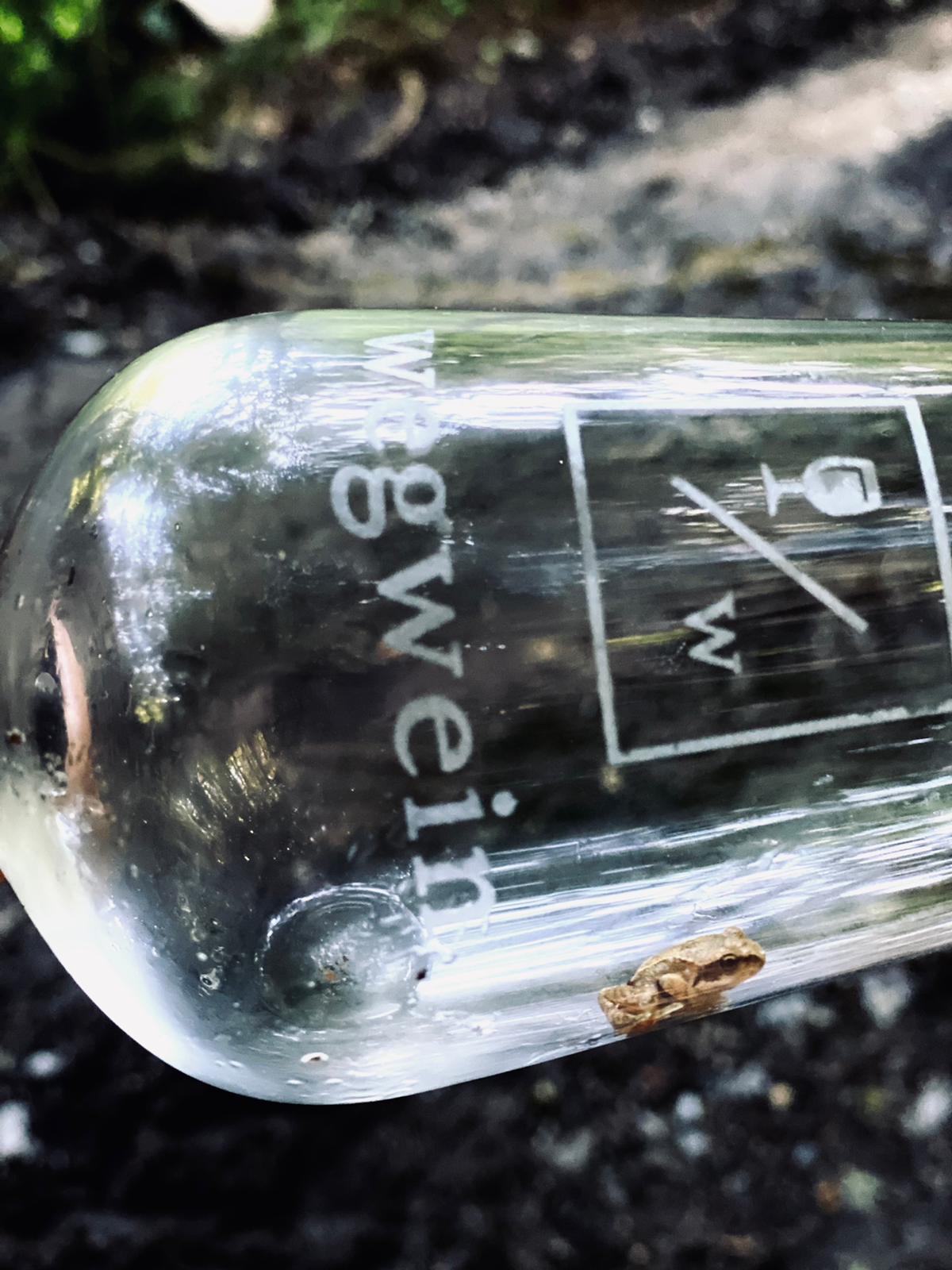 wegwein-de-natur-und-genuss