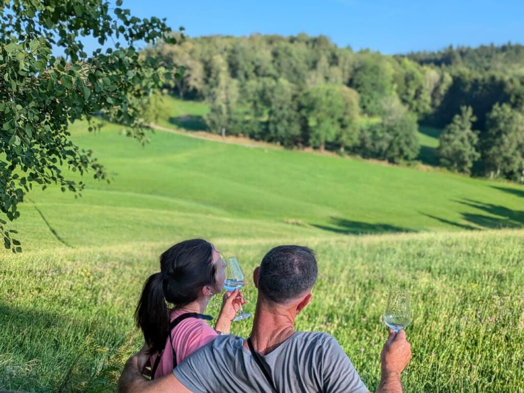 Was ist wegwein Was ist wegbier